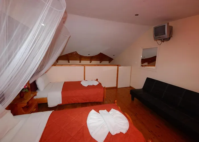 Charlies Venus * Ρόδα